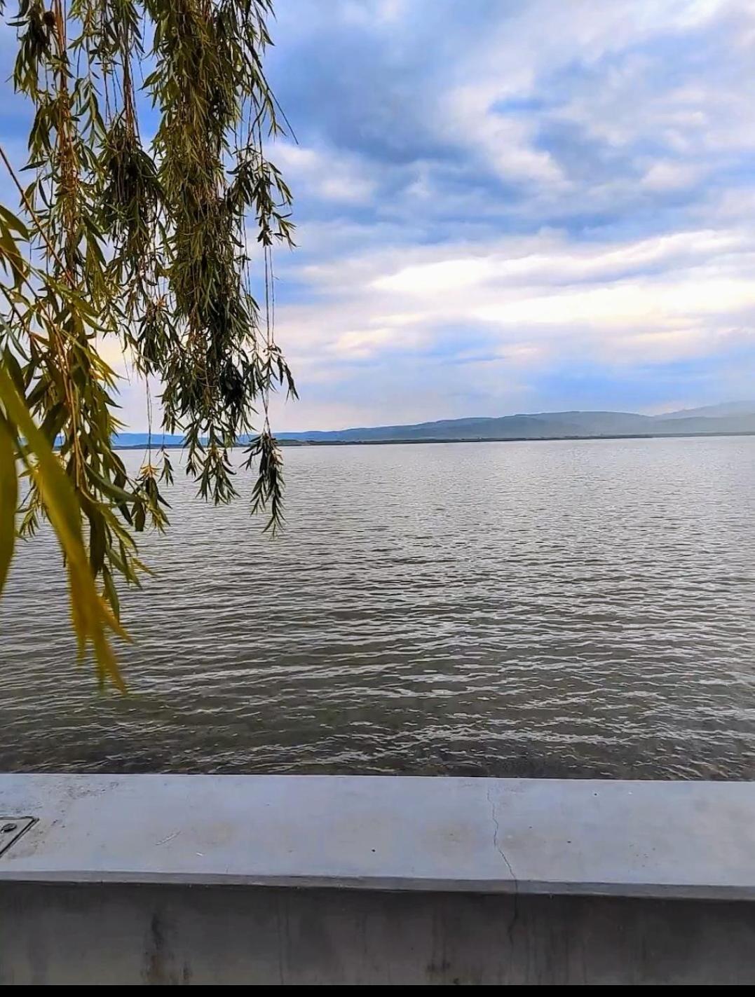 Apartman Bella Vista Голубац Екстериор снимка